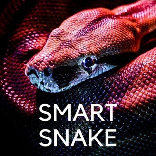 SmartSnake ХНМУ⚕️