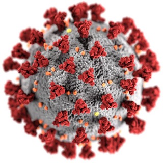 coronavirus_ukraine