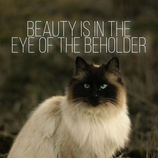 Beauty is in the eye of the beholder