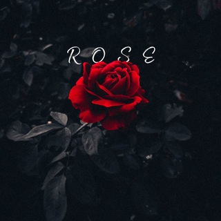 🌹ＲＯＳＥ🌹