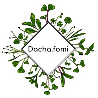 🌱 Dacha.fomi 🌱