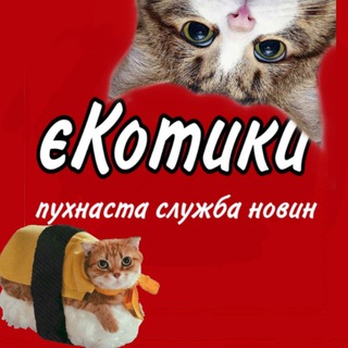 єКотики