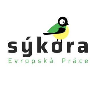 Sýkora | Evropská práce | Czech Republic 🇨🇿 ✔️