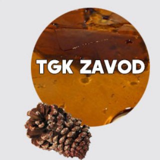 TGK ZAVOD Chat