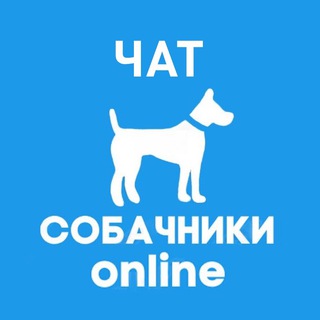 Чат | Собачники.online