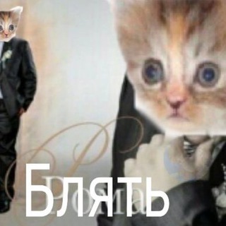 Напёрдыш Chat