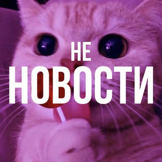 не новости🐾