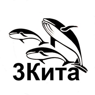 3Кита | Украина | Киев | Новости | Война