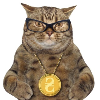 Finance Cats from Ukraine