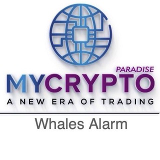 MCP🚨Whales Alarm - MEX