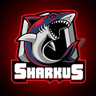 SHARKUS-Заробіток в інтернеті